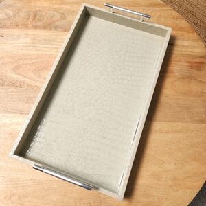 Ivory And Silver Snakeskin Tray